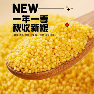 正宗沁州黄小米新米山西特产真空保鲜小米粥五谷杂粮粥宝宝月子粥
