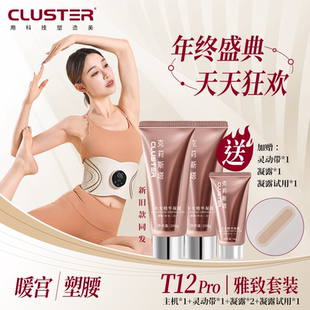 CLUSTER全燃美塑仪EMS健身按摩微电流提拉紧致腰带 雅致套装