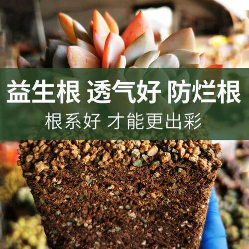 多肉颗粒土75 颗粒专用土营养土椰糠土泥炭土肉肉铺面石纯颗粒土