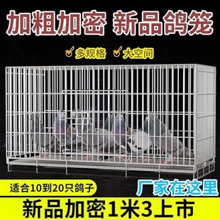 鴿子籠大空間繁殖籠m鳥籠鴿子籠子不銹鋼色大號加密配對家用養殖