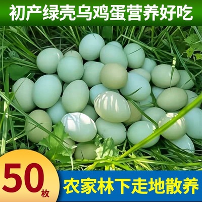 正宗农家散养绿壳乌鸡蛋
