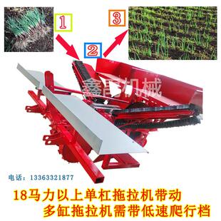 葱移栽机农用秧苗移栽机辣椒韭菜菊花栽苗机自走式葱种植机