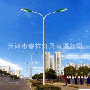 10米双弯杆双臂路灯杆天津厂家乡村道路双头路灯led庭院灯杆
