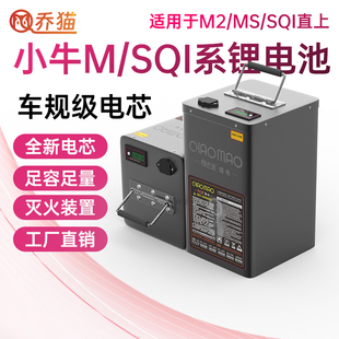SQI宁德电瓶48V20ah时代蓄电池非原装 乔猫小牛锂电池电动车M2