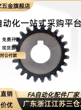 VNF01/02/03/11/21/22/23/31/41/42/43/51-1.0-20-A B 直齿轮