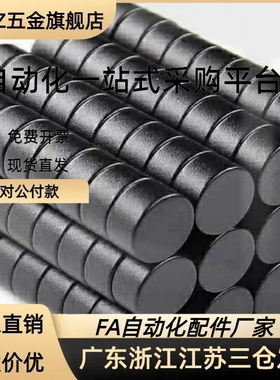 替代磁铁 BLS02-D1/D2/D3/D4-L1/L2/L3/L4/L5/L6/L8/L10