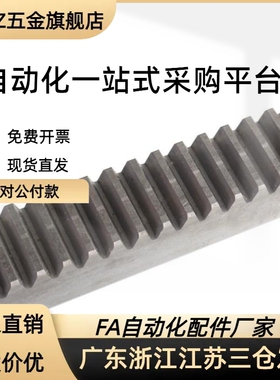 齿条1模10X12RGEA1.0-100/300/500-N/A/ST/Z替齿条