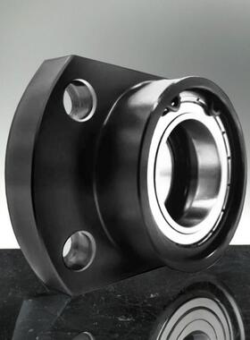 双轴承座组件钢制固定座法兰座支座BFP21 BGCBB6006带座轴承