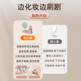 LED镜子化妆镜带化妆收纳筒台式 新款 桌面随带灯学生家用身补光镜