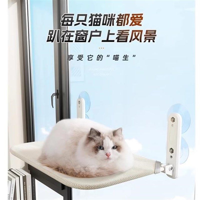 猫吊床猫咪猫窝窗户窗台床边晒太阳吸盘挂床阳台玻璃宠物猫床用品,宠物/宠物食品及用品,猫窝/屋/帐篷/沙发,淘宝优惠券,粉丝福利购,淘宝优惠卷