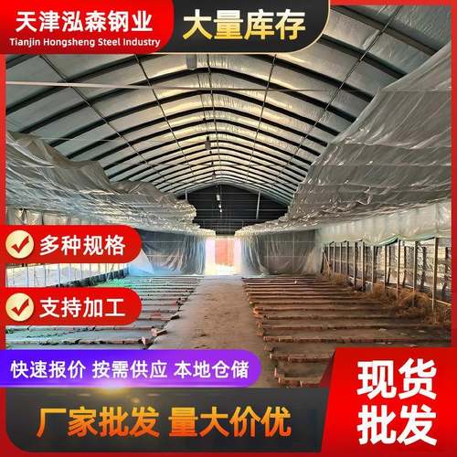 大棚厂家定制农业家用温室大棚畜牧养殖棚蔬菜种植棚按需加工