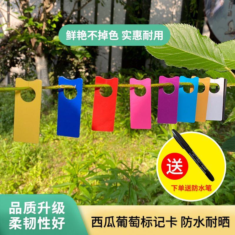 宏荣全新料葡萄记号牌西瓜记号牌授粉记号卡分色园艺标签管理标签