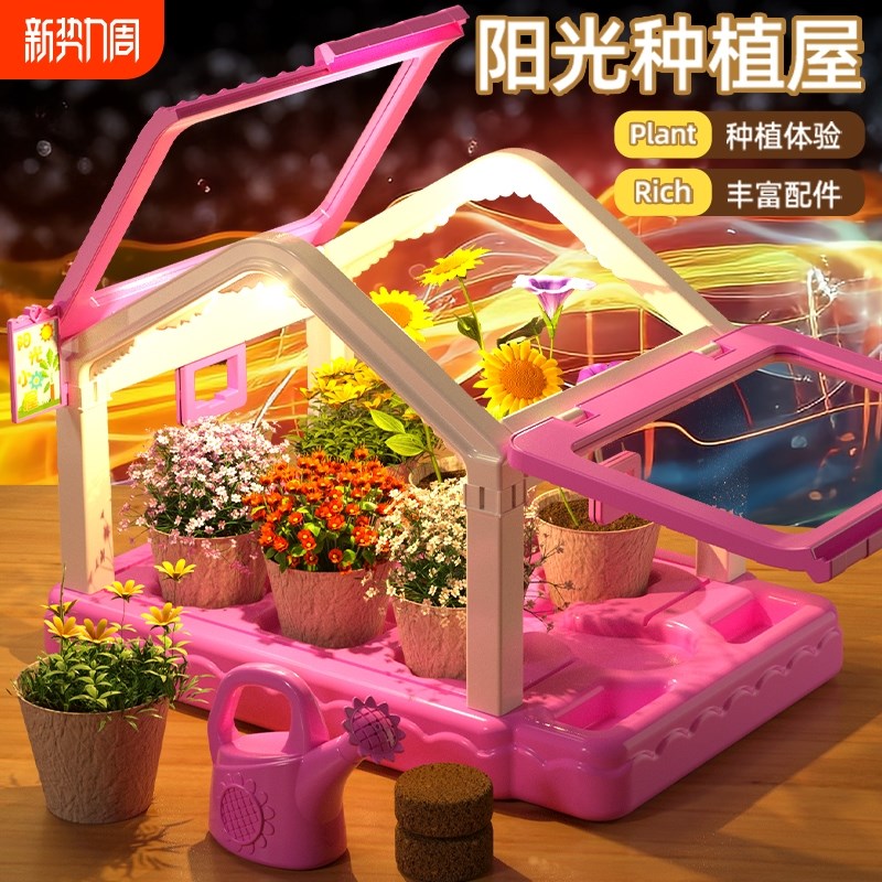 阳光种植幼儿园儿童diy绿植盆栽种菜植物种科学小实验植树节玩具