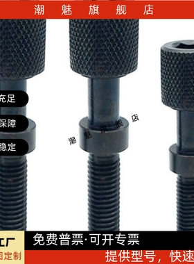 调整螺栓内六角粗牙限位螺丝PAZ01AJSTR6/8-20/25/30/35/40/45/50