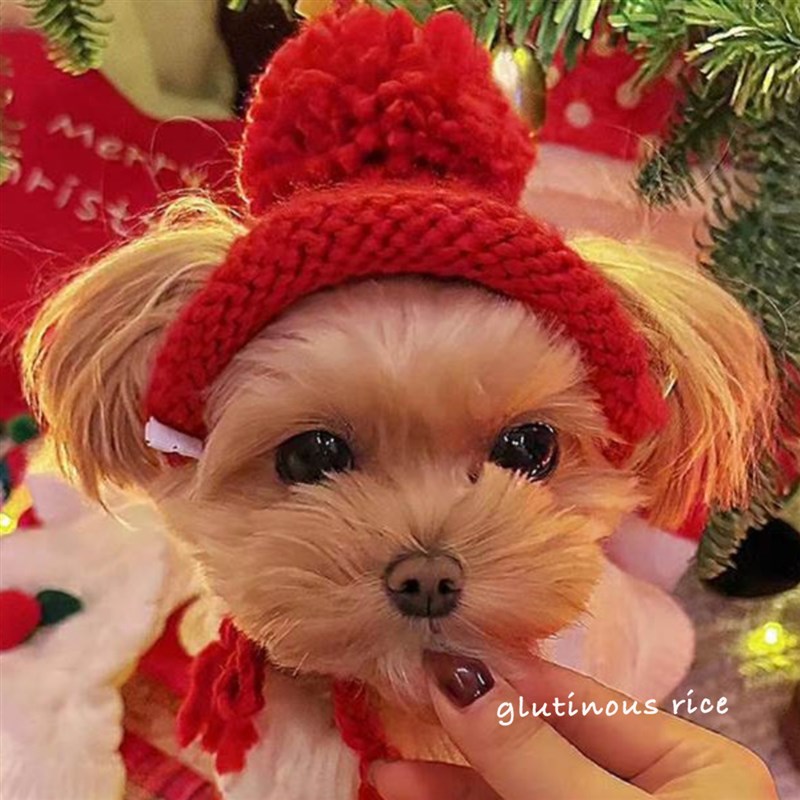 小狗狗帽子圣诞新年秋冬季约克夏吉娃娃头套装饰超小体狗狗猫咪