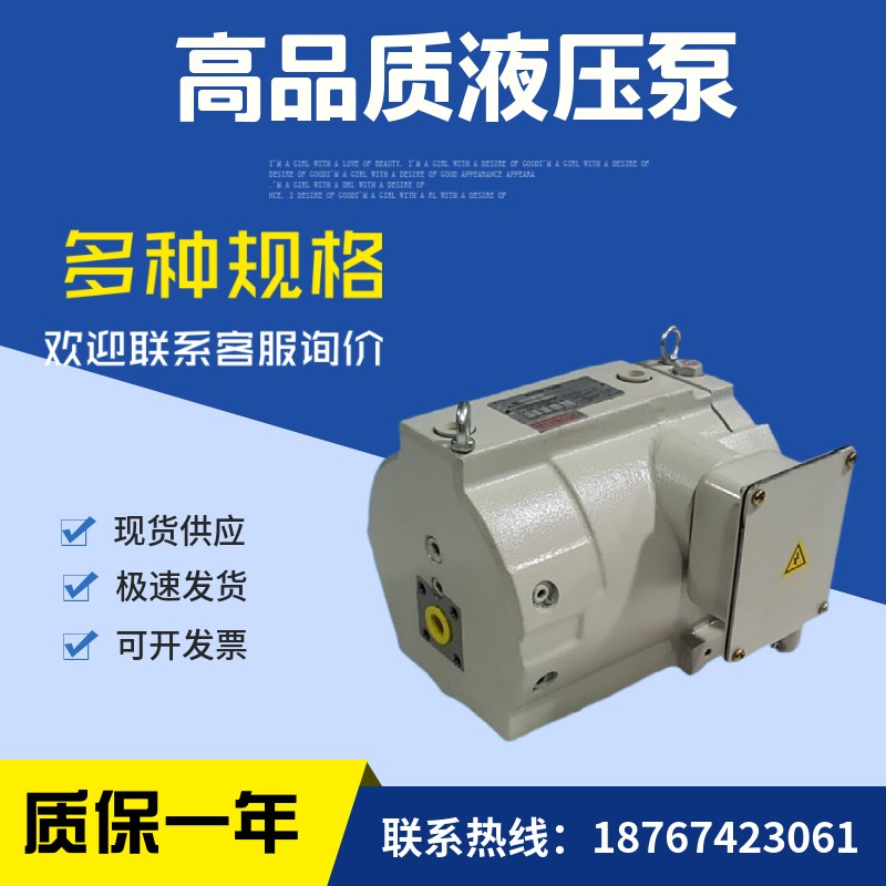 电机组合变量泵 RP15A1-22-30-T 转子液压泵立式安装