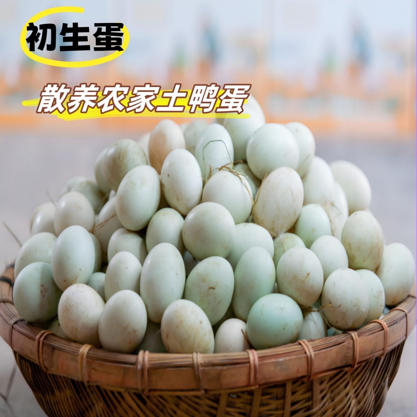 河南新鲜鸭蛋农家散养初生蛋