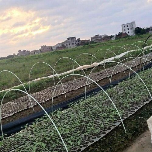 保温棚支架玻璃钢纤维棒实心拱杆蔬菜骨架拱棚爬藤架子小拱棚搭杆