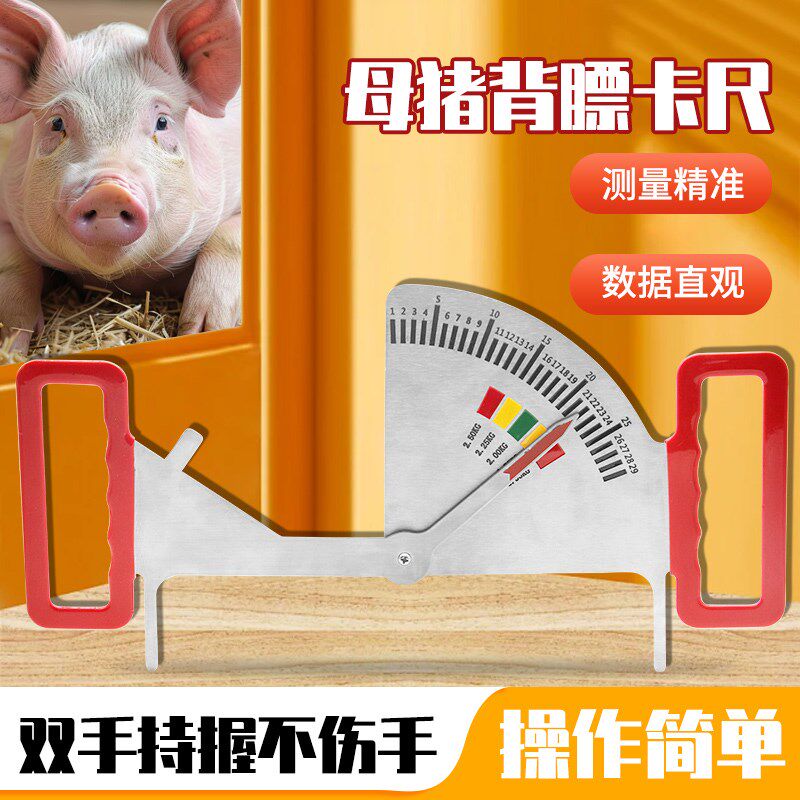 猪用背膘卡尺不锈钢喂料管理尺猪用膘情测定指导器妊娠母猪背标尺