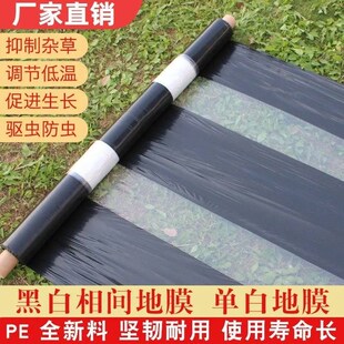 农用黑白b相间地膜双白单白地膜银黑双色反光膜大棚膜塑料薄膜防