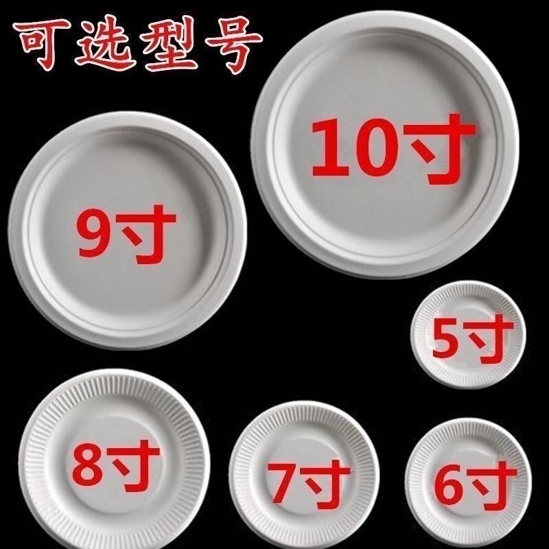 甘蔗浆纸盘子生日蛋糕碟子炒菜绘画D手工餐盘纸盘6 7寸8寸10寸