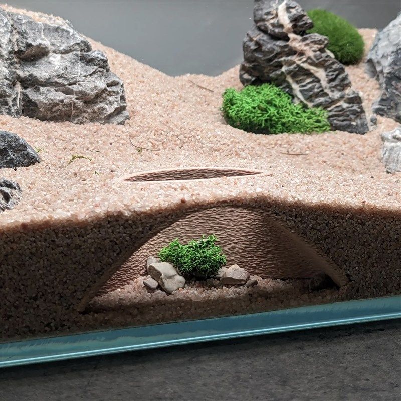 鱼缸造景爬宠乌龟鱼虾躲避屋洞拱形地下洞穴造景饲养箱造景装饰,宠物/宠物食品及用品,爬宠躲避/造景,淘宝优惠券,粉丝福利购,淘宝优惠卷