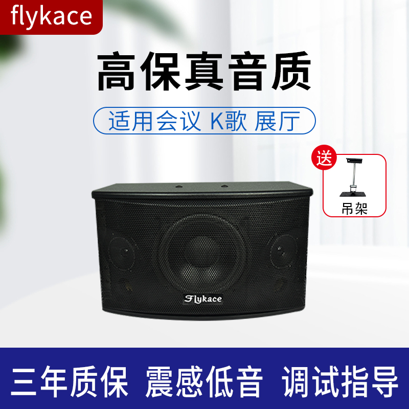 8寸/10寸卡拉OK音响 会议扩声音箱 卡包音箱 家庭KTV喇叭