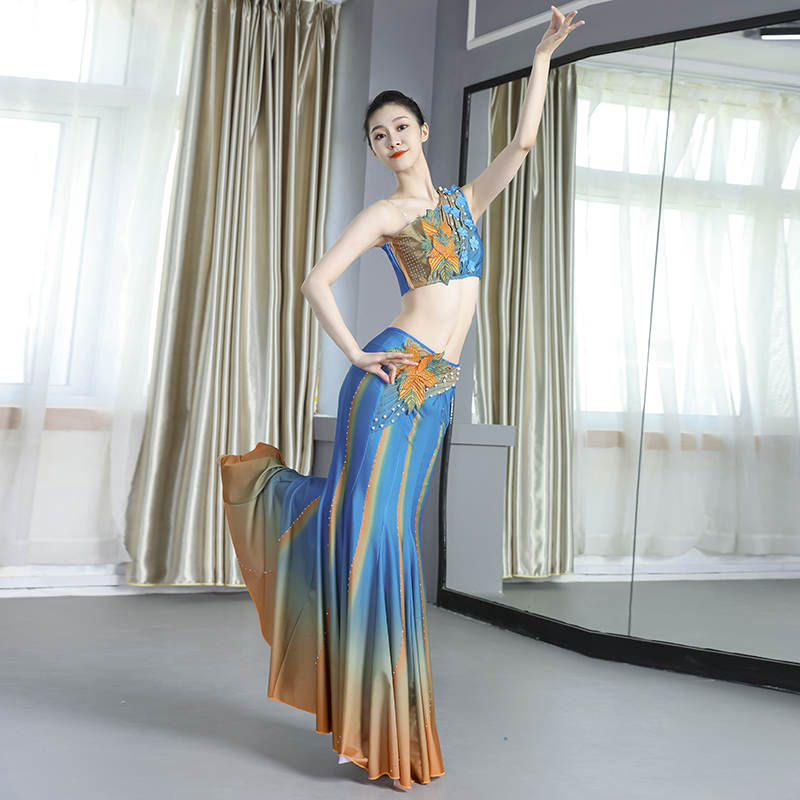 傣族舞服装女滇南映少舞蹈套装新款艺考舞裙演出服西双版纳裙子夏