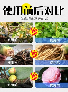 植物复活液通用专用生根水发财树花卉有效生根剂黄叶光杆快速增长