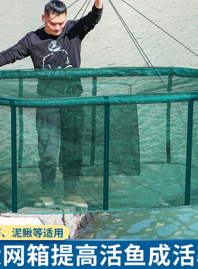 养鱼网箱养鱼箱存鱼漂浮暂养鱼护防逃网笼折叠装鱼笼育苗养殖网箱