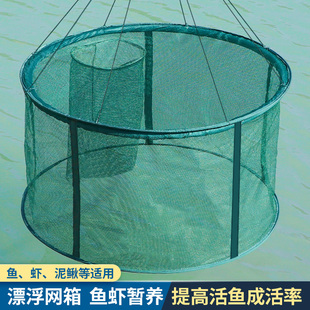 漂浮养鱼网箱螃蟹笼暂养养殖吊笼鱼护存鱼网笼折叠大口径网兜网箱