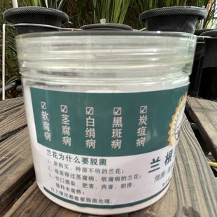 保根護根1 500倍液稀釋浸泡5分鐘 蘭花護根營養液 蘭根脫菌劑