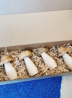 手工实木小蘑菇牙签筒桌面装饰摆件创意个性牙签盒子餐厅客厅家用