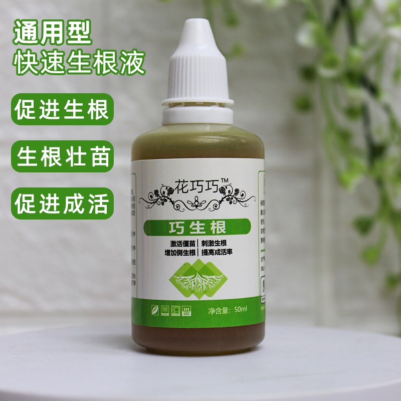 快速生根爆根扦插成活养根护根提苗绿叶防枯萎壮苗防死棵僵苗