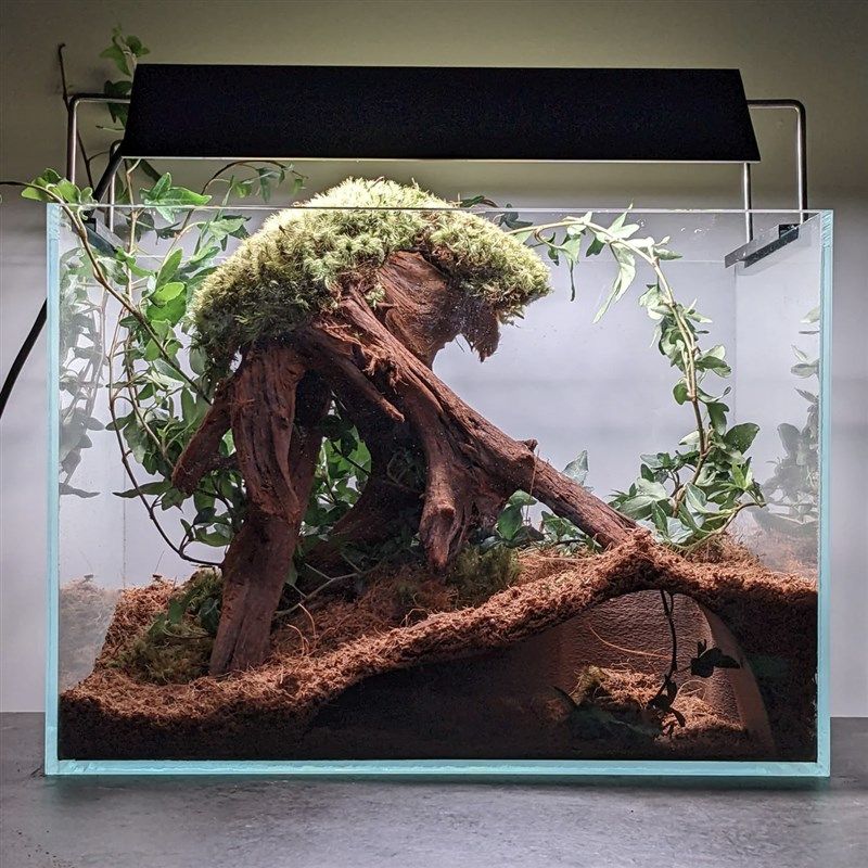 爬宠躲避鱼缸造景观赏洞鱼虾躲避屋创意地下洞穴造饲养缸景装饰