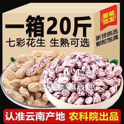 云南特产七彩花生咸干晒干 干带壳熟彩色花生花皮水煮咸干 干燥花