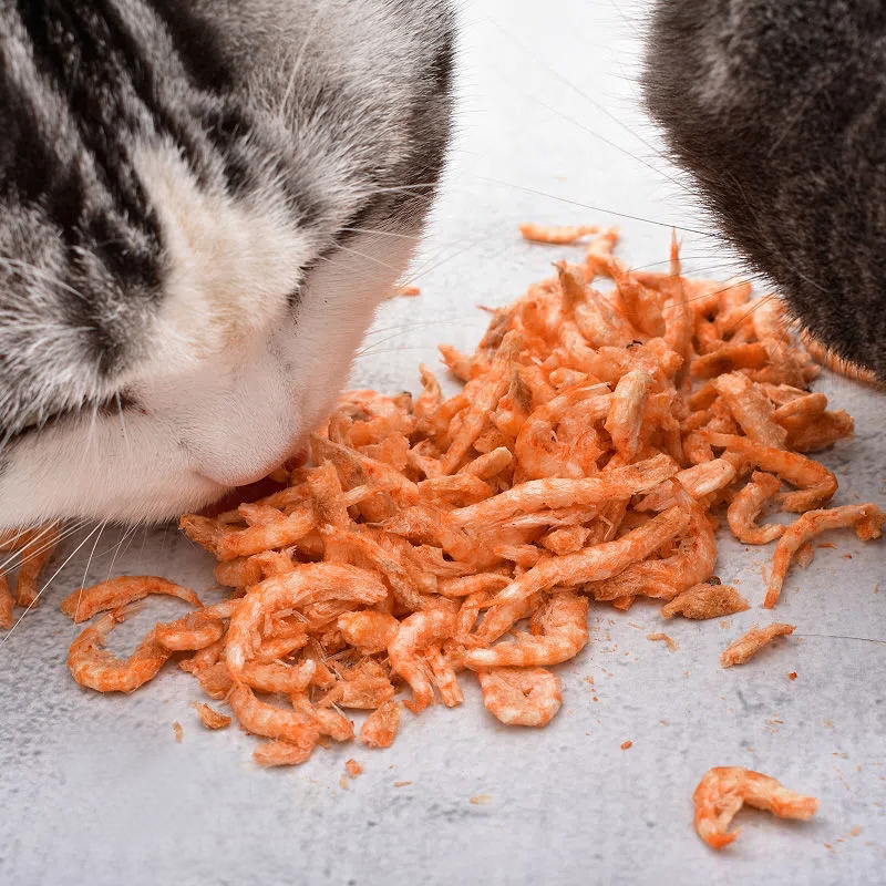 猫零食小虾干宠物营养拌粮冻干南极磷虾乌龟饲料仓鼠小宠即食虾干