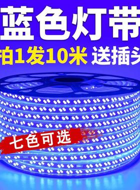 LED蓝光灯带220V蓝色灯条超高亮户外防水天花吊顶KTV招牌灯箱装饰