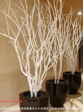 干树枝枯树枝白色树枝摆件造型树杆仿真树枝干假树枝装饰直销