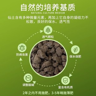 德沃多峨眉山仙土颗粒兰花植料多肉盆景君子兰墨兰石斛营养土基质