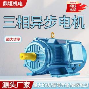 45W大功率电 三相异步电动机国标铜线电机380v交流电机11