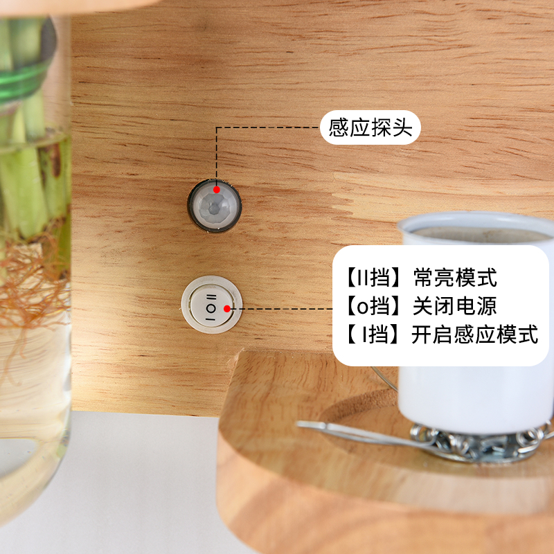 人体感应充电免布线花草植物实木壁灯阳台过道玄关床头原木墙壁灯