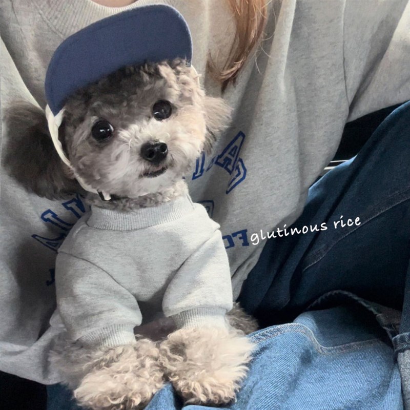 宠物狗狗猫咪春秋款防掉毛衣服泰迪比熊博美小型犬雪纳瑞约克夏