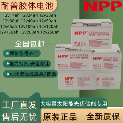 耐普胶体电池应急免维护储能EPS