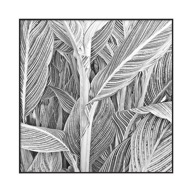 现代简约植物树叶装饰画抽象黑白线条客厅挂画餐厅样板间艺术壁画图片