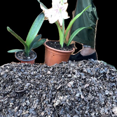 种花种菜通用蔬菜花卉腐叶营养土橡树叶发酵腐熟小颗粒腐殖土酸性