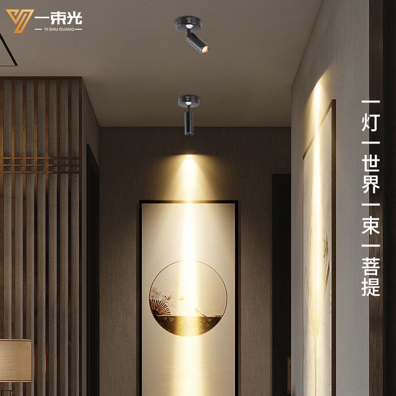 一束光聚光射灯明装人体感应客厅茶室入户玄关过道走廊楼梯吸顶灯,家装灯饰光源,明装射灯,淘宝优惠券,粉丝福利购,淘宝优惠卷