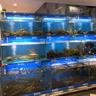 螃蟹海鲜池鱼缸LED照明灯节能防水方管蓝色外壳PVC管道配件灯光