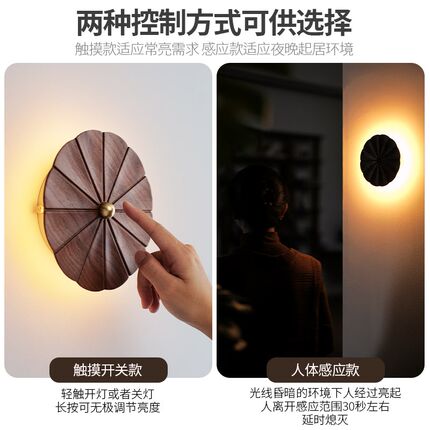 接电款花形感应夜灯光控灯壁灯LED楼梯床头走廊夜间起居灯地脚灯