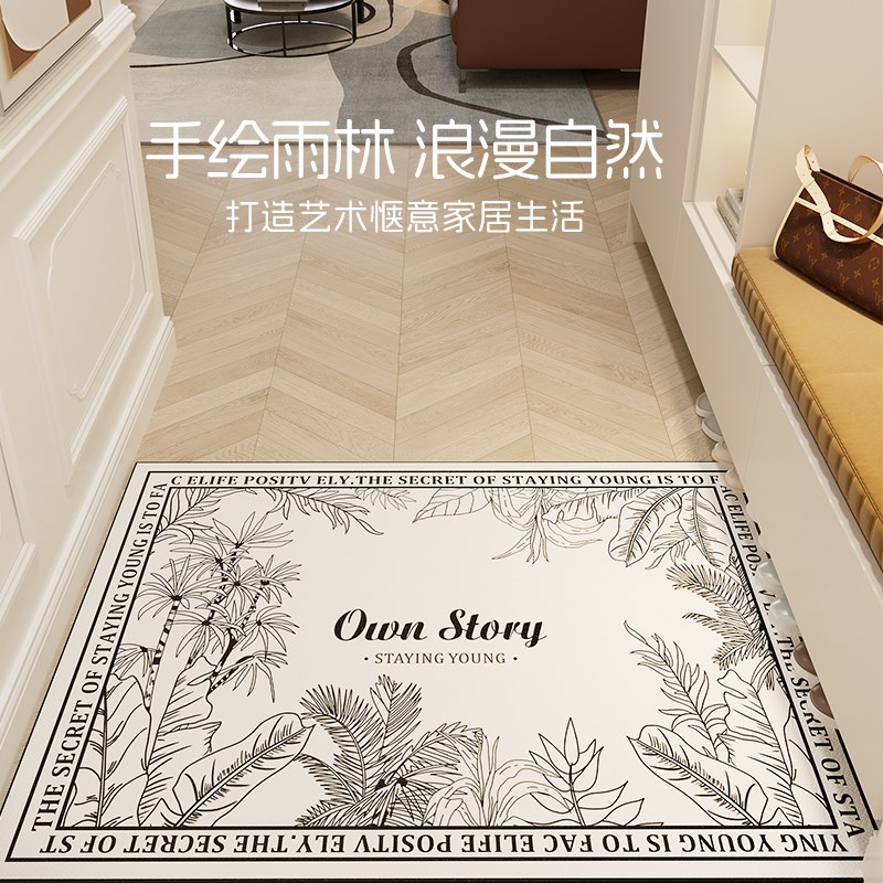 入户门垫家用进门垫耐脏门口脚垫轻奢可剪裁定制防滑玄关地毯地垫